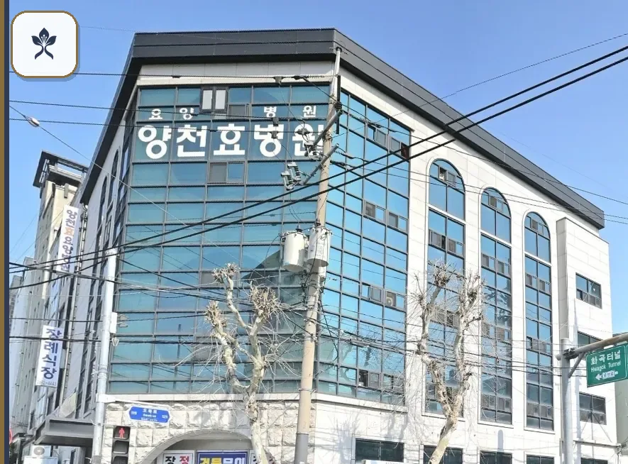 양천효병원장례식장 동선 기록 3